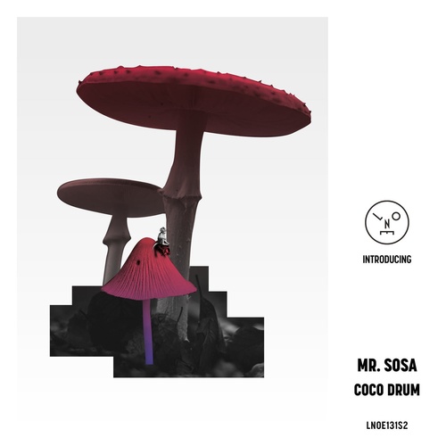 Mr. Sosa - Coco Drum [608549]